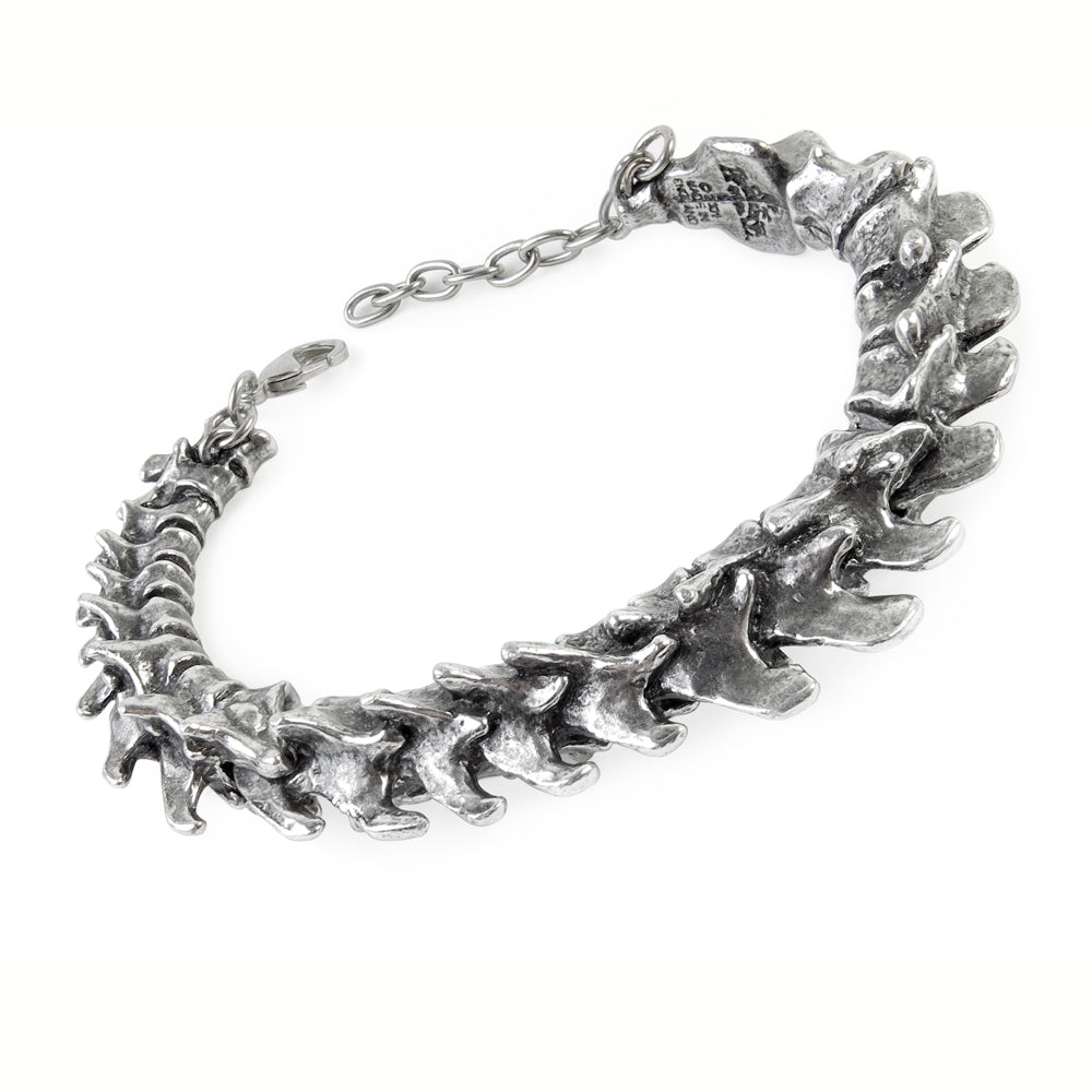 Vertebrae Bracelet Alchemy Gothic Chain Bracelet