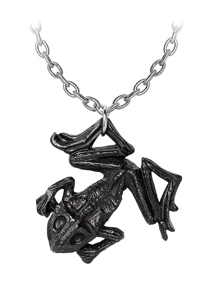 Gothic Dead Frog Talisman Pendant With Pewter Chain