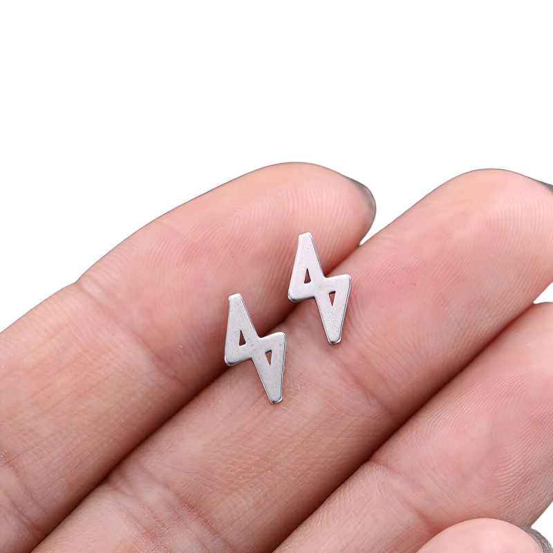 Stainless Steel Jewelry / Silver Earrings / Gothic Style Earrings