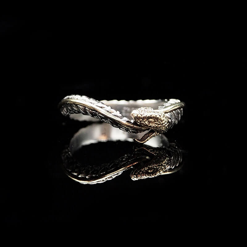 Ouroboros Sterling Silver Ring